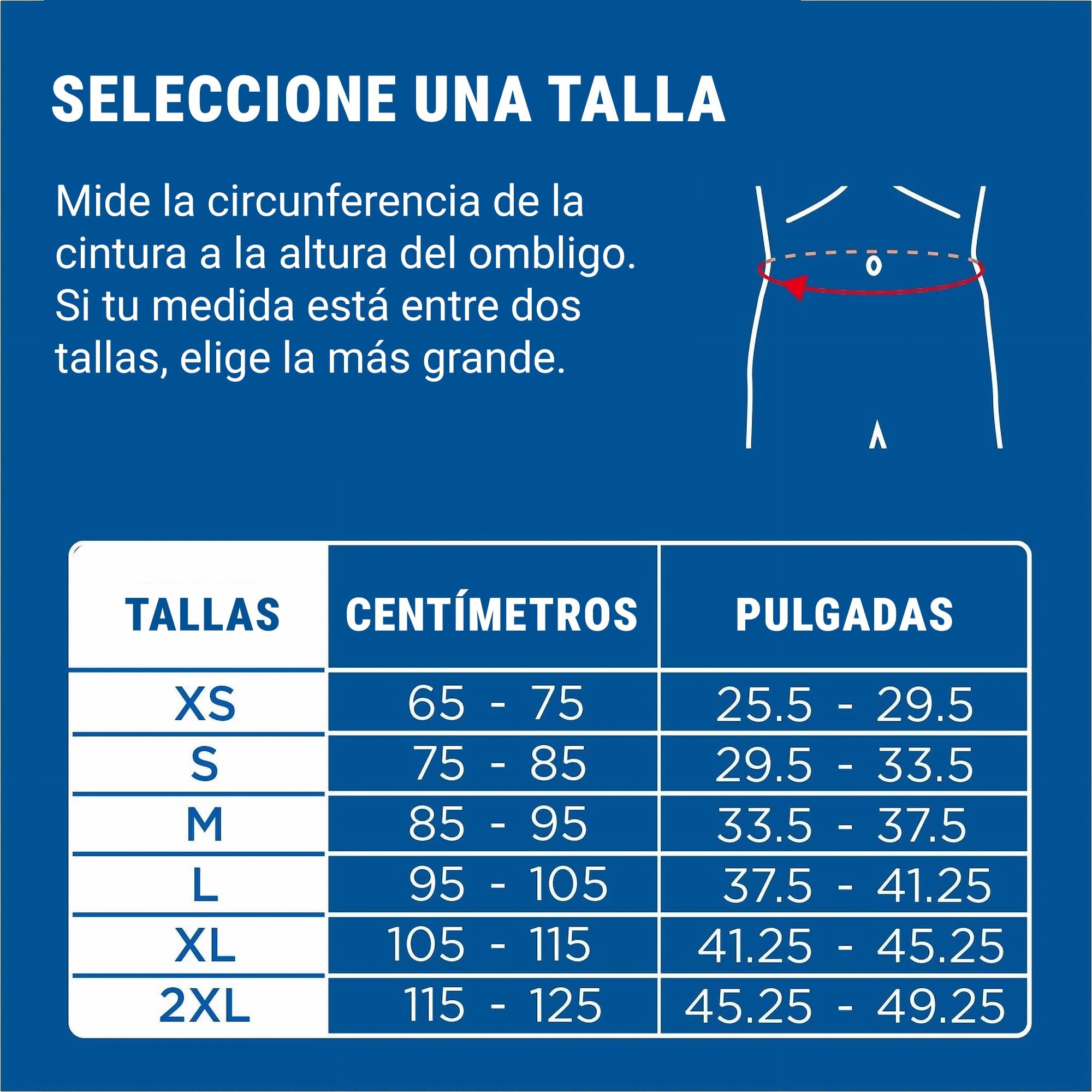 Zamst ZW-5 Faja Lumbar Ajustable - Soporte Lumbar para Deportistas, Faja Lumbar para Dolor Lumbar, Cinturón de Compresión para Deportes - Tejido de Malla Transpirable - M