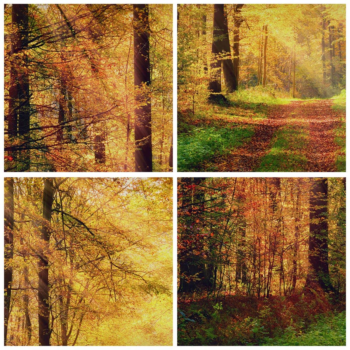 Cuadros Decoracion Salon Bosque Árboles Naturaleza Lienzos Decorativos 80x120cm Cuadro Sobre Lienzo Moderno Vertical Dormitorio Cuadros Pared Imágenes Wall Art Prints Decor Grande PA80x120-5338
