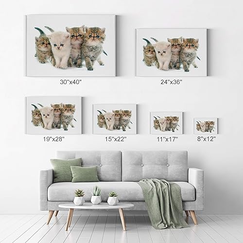 Vista 94 de Smile Art Design Border Collie Bulldog Rottweiler Cachorro Persa Gatito Animal Lienzo Impresión Arte de Pared Pet Cat Dog Lover Sala Dormitorio