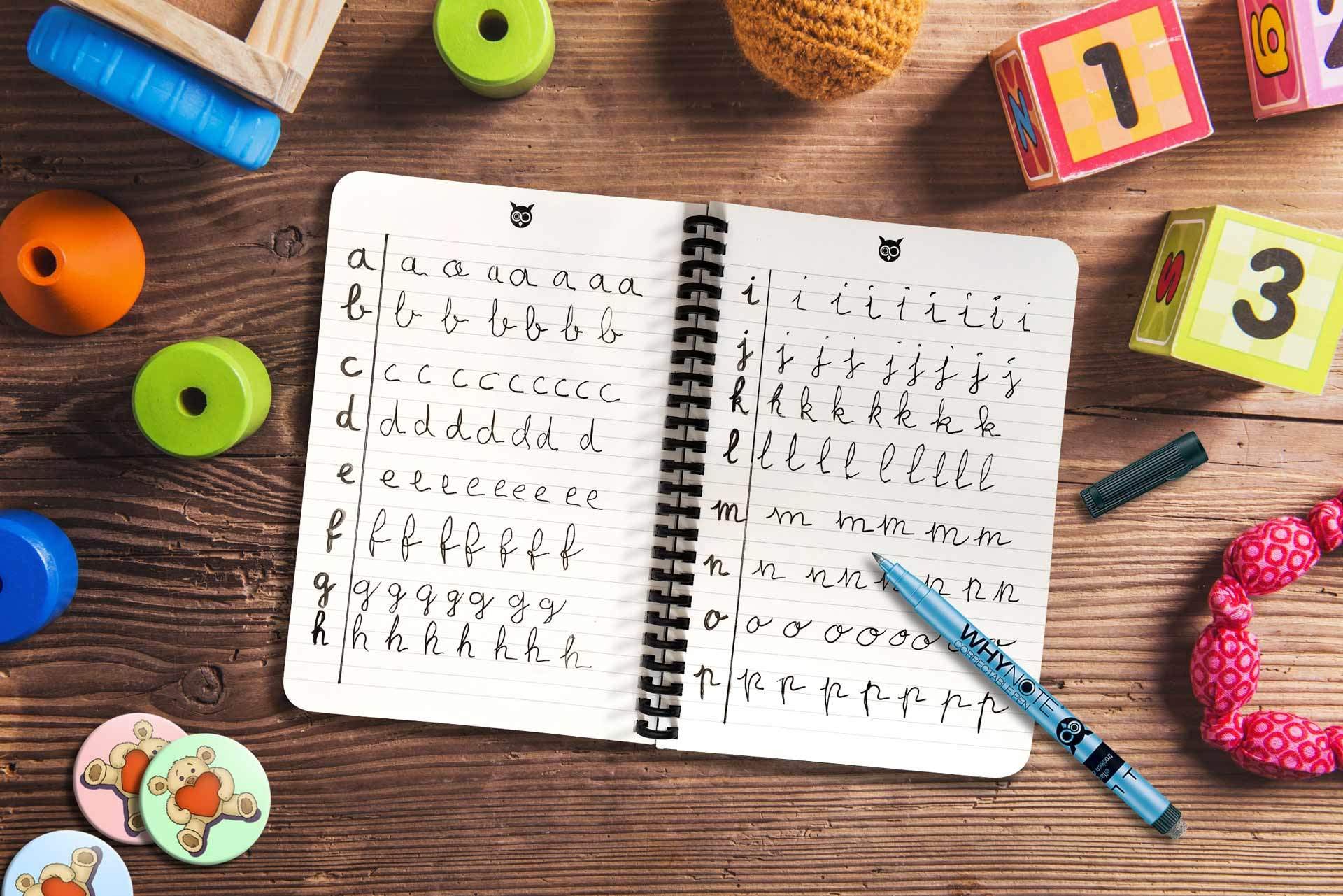 Bloc Note effaçable Format A4 Blanc Whynote – Bloc note s’effaçant comme un tableau blanc - Le cahier de note effaçable papier lignée et blanc - Inclus : Feutre tableau blanc effaçable à l'eau