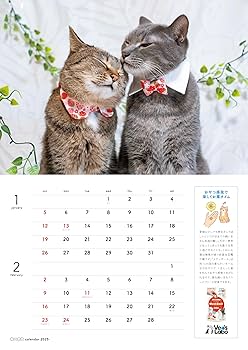 ねこまる様 ネコまる 2025年夏秋号 vol.50 (タツミムック) | 辰巳出版 |本