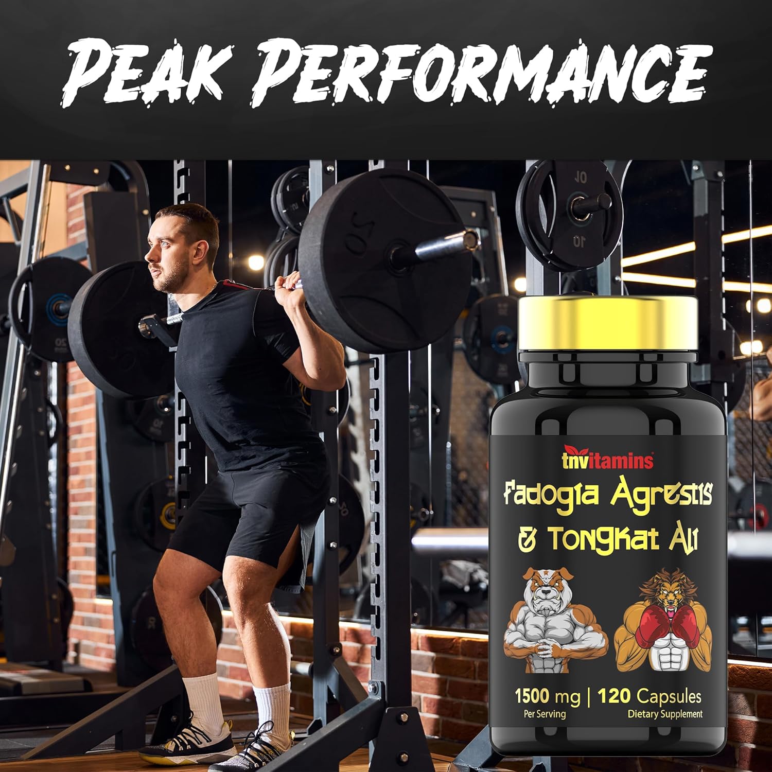 Fadogia Agrestis & Tongkat Ali Supplement: 1500mg - 120 Capsules | 750mg Each of Tongkat Ali (Longjack) & Fadogia | Ultra-Potent Formula For Men For Sports Nutrition, Athletic Performance, & Muscles* - Image 4