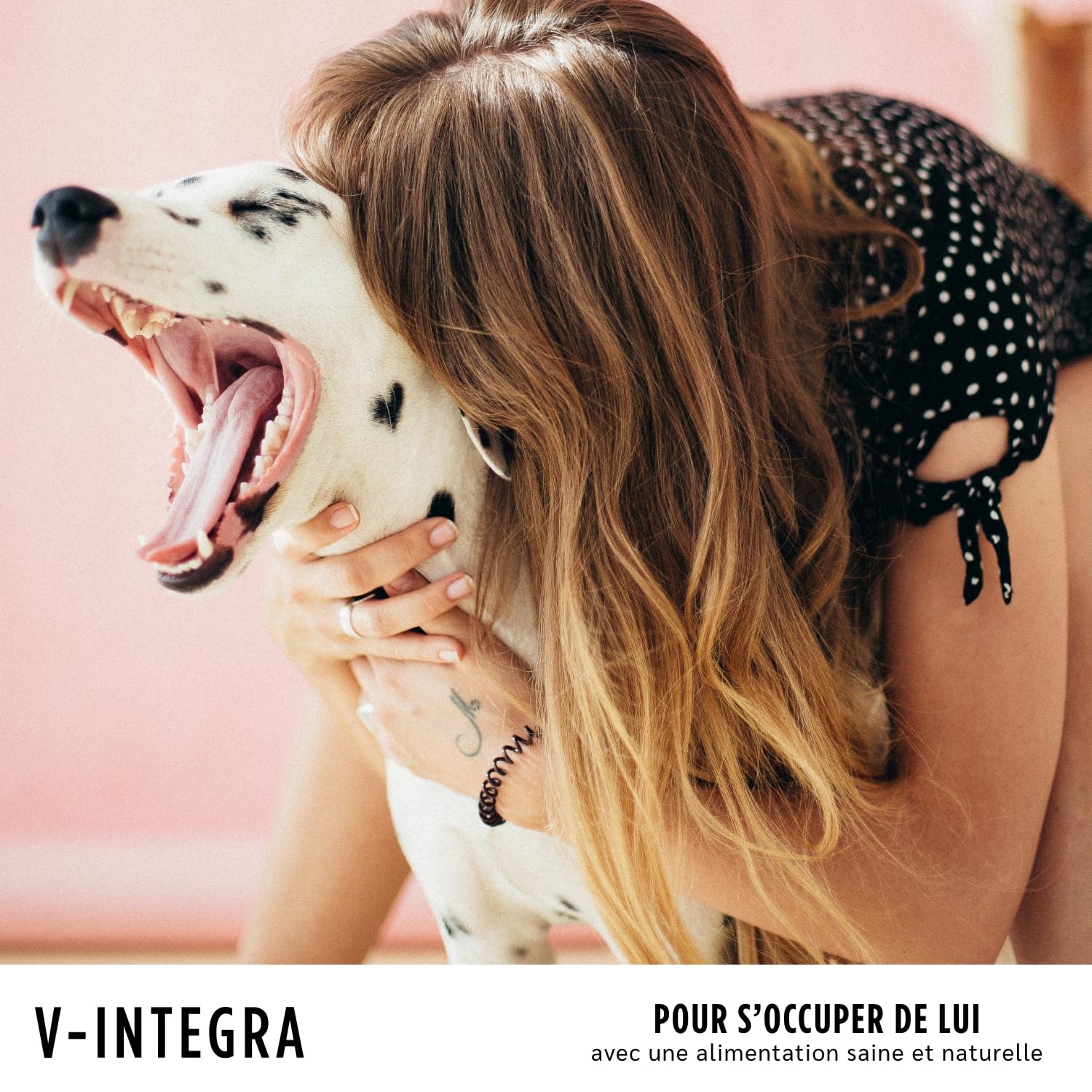 V-INTEGRA Epato Chiens et Chats - Supplément Complet de vitamines et minéraux pour la Ration ménagère des Chiens et Chats nécessitant Une Restriction en cuivre - 200g - Produit en Italie