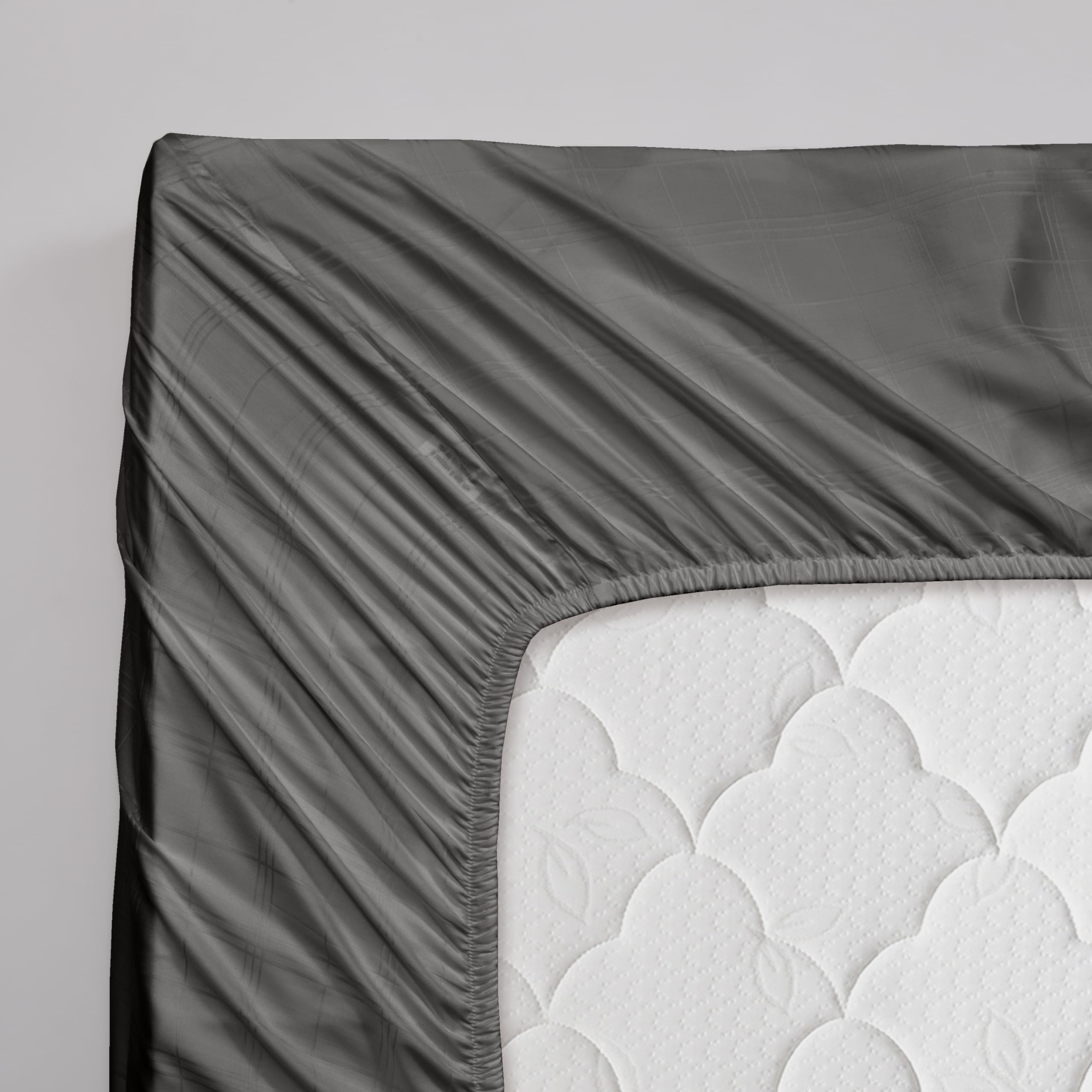 View 3