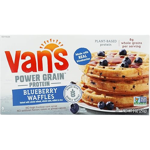 Vans International Foods Blueberry Plant Based Protein Waffles, 9 Oz
