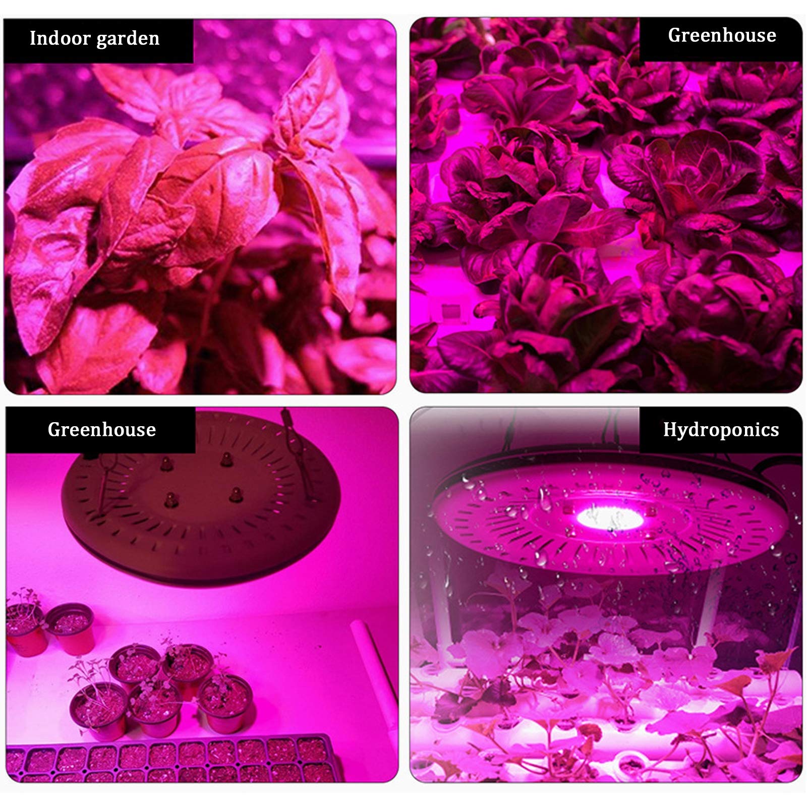 UFO LED Grow Light Impermeable 50W Luz de cultivo de plantas de espectro completo Lámpara de cultivo inteligente y silenciosa para plantas de flores Semillas Invernaderos hidropónicos Tienda de cult