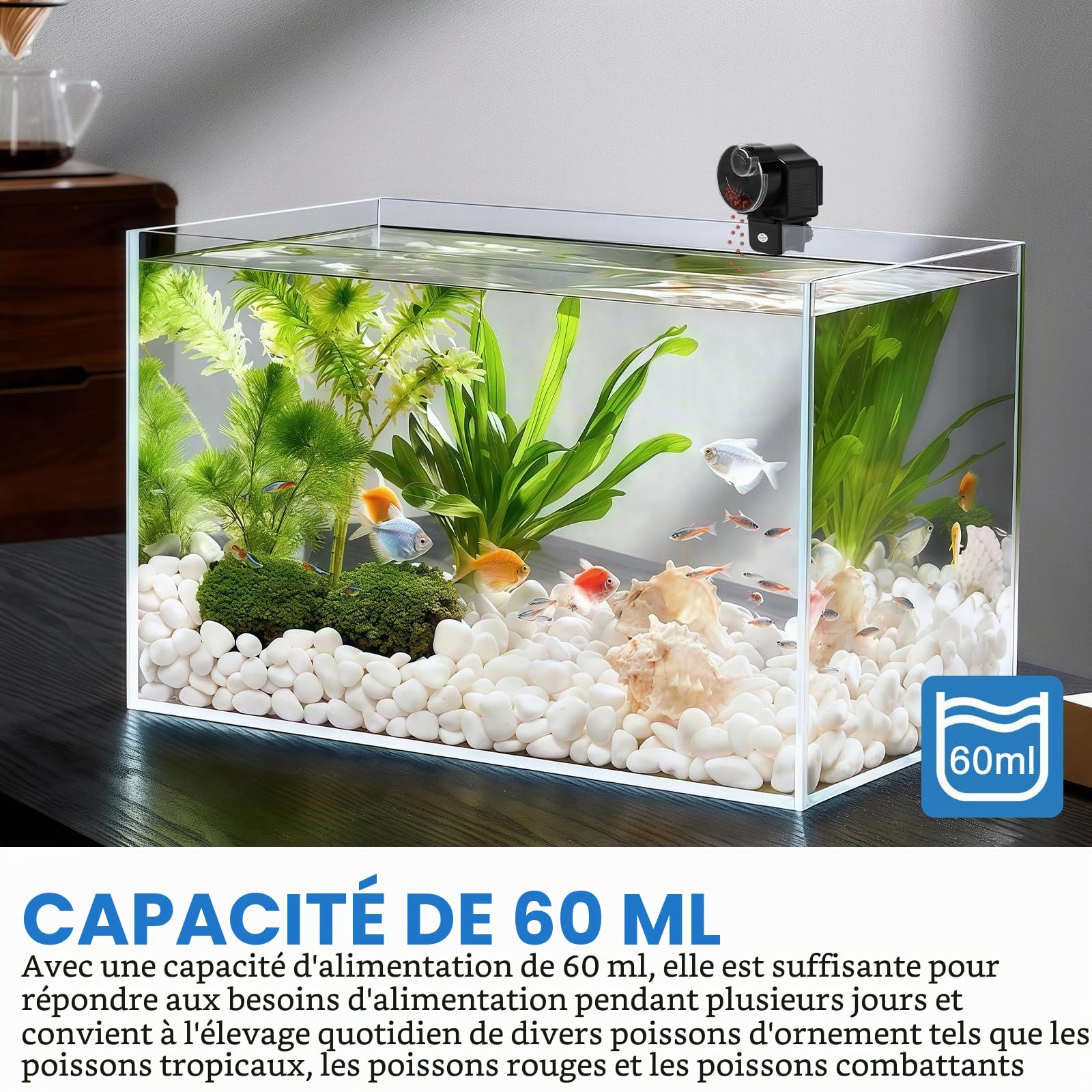 Distributeur automatique de nourriture pour poissons : 60 ml, pour granulés et bandes