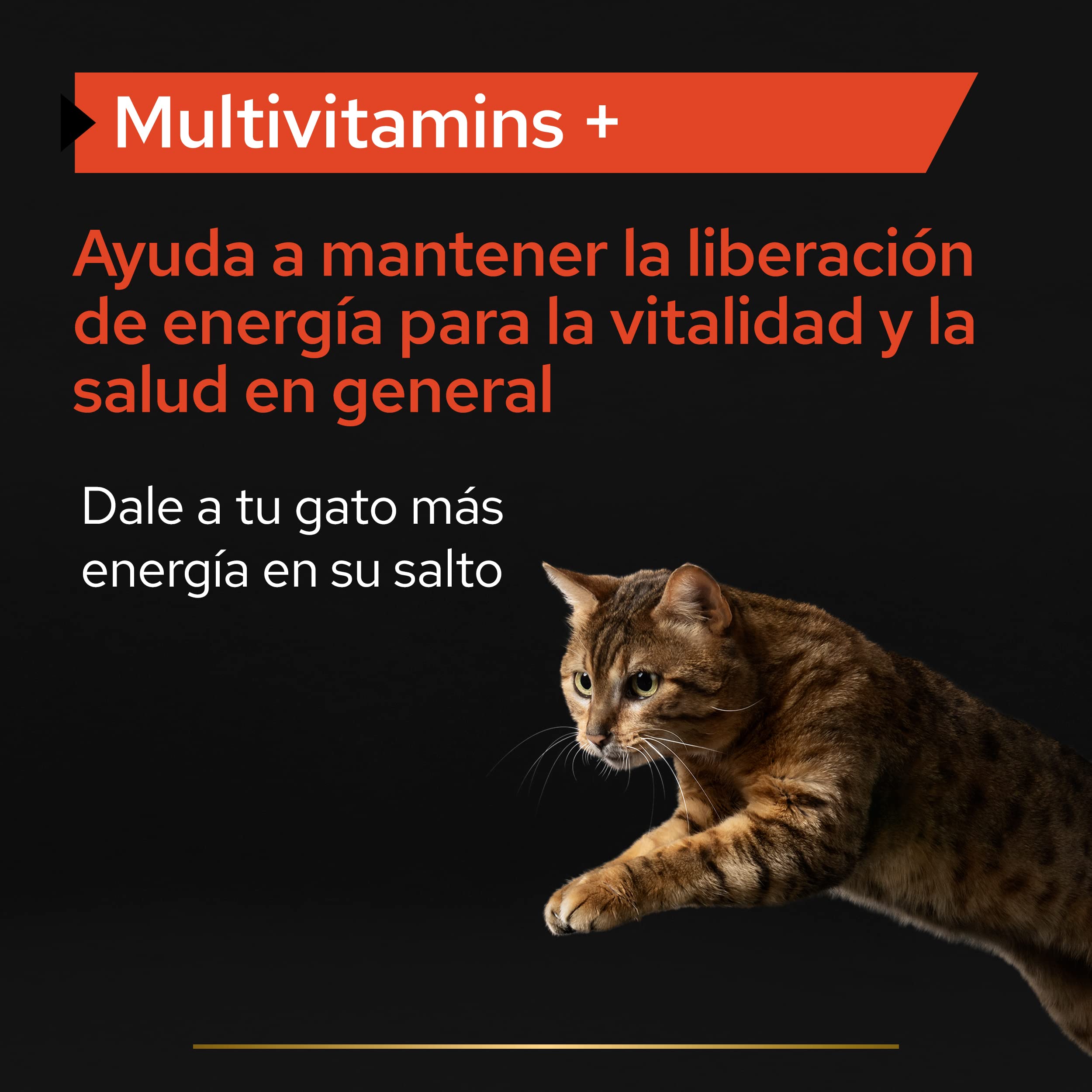 Purina Pro Plan Suplemento Gato Multivitaminas, energía, vitalidad, Vitamina B, en Polvo, 4 paquetes de 60g