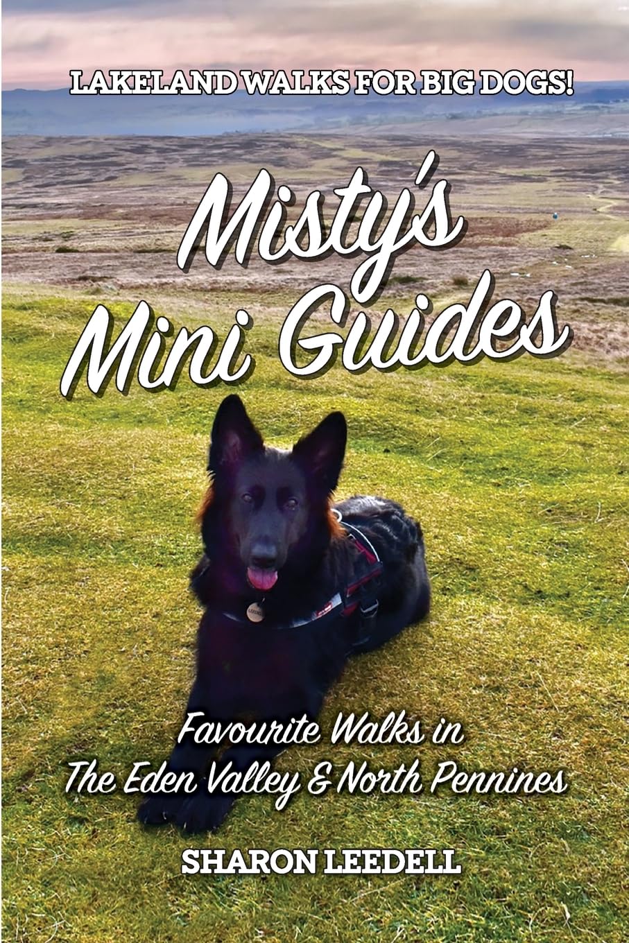 Misty's Mini Guides: Favourite Walks in The Eden Valley & North Pennines: 6 By