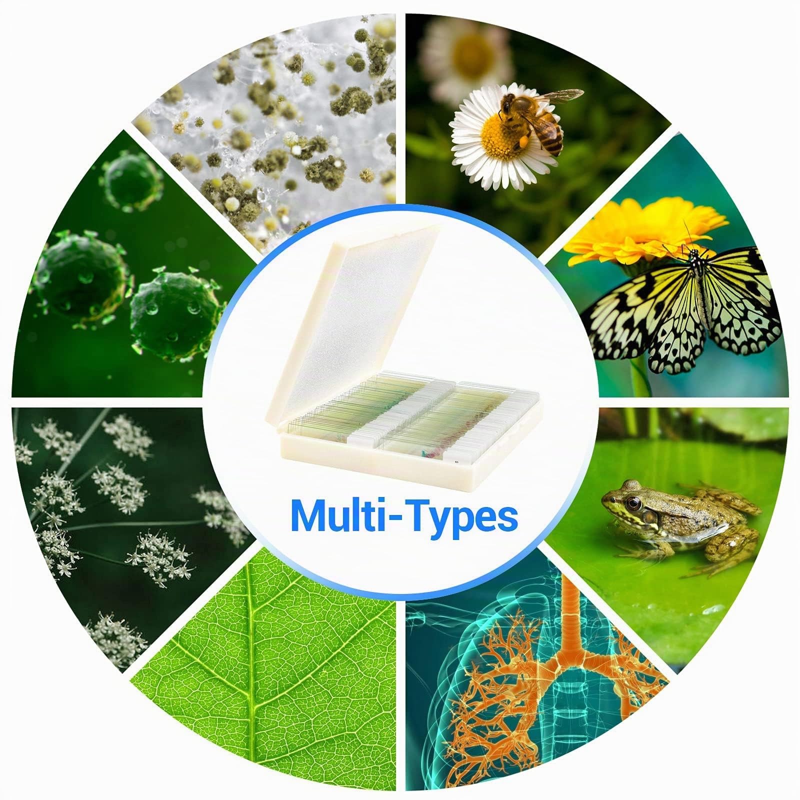 USCAMEL 100 Lames de Microscope préparées avec spécimens – Bactérie, Champignon, Tissus Humains, mitose, Plantes, Insectes, Animaux