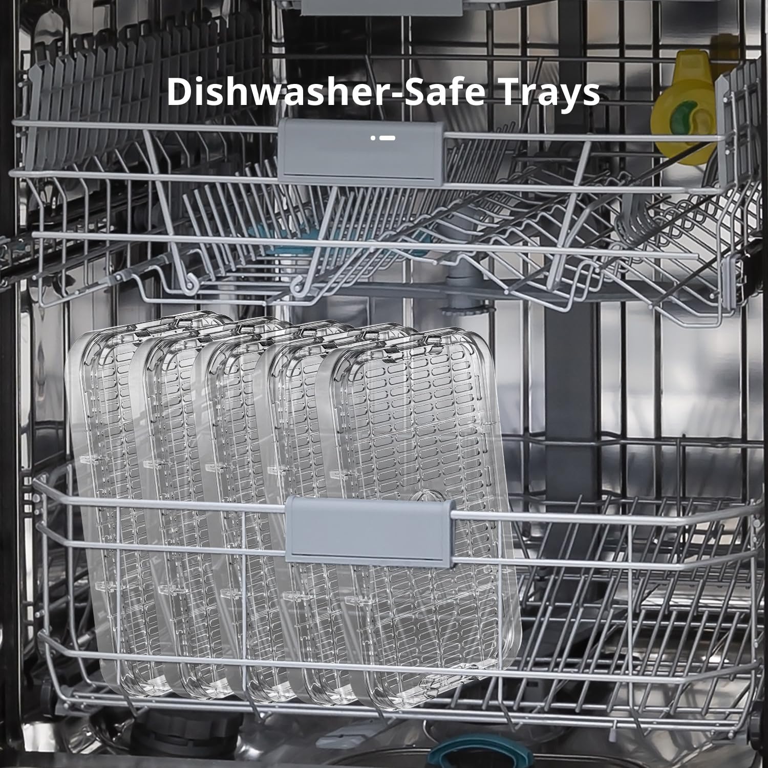 Déshydrateur Alimentaire 250W avec Minuterie & Contrôle de Température, 5 Plateaux, Sans BPA, Appareil de Séchage Électrique pour Fruits, Légumes, Viande, Herbes & Friandises pour