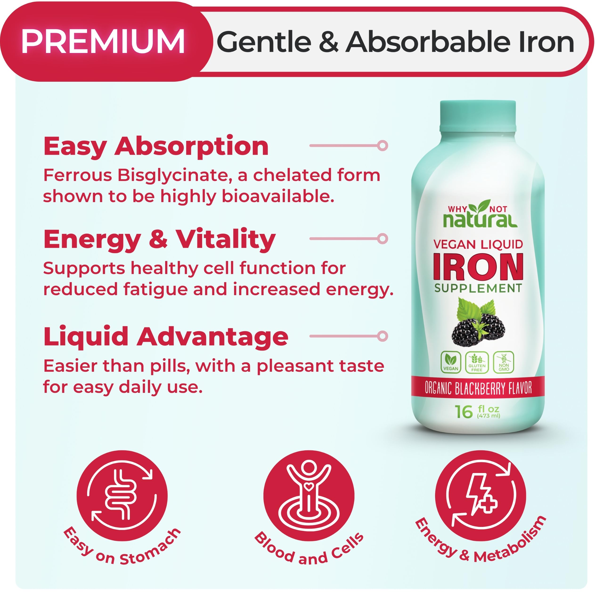 Liquid Iron Supplement for Women, Men & Kids, Vegan Formulation for Anemia — Amazon image 3