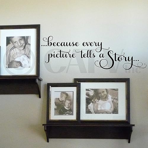 Calcomanía de vinilo con texto en inglés "Because Every Picture Tells a Story" (9 pulgadas de alto x 28 pulgadas de largo, negro)
