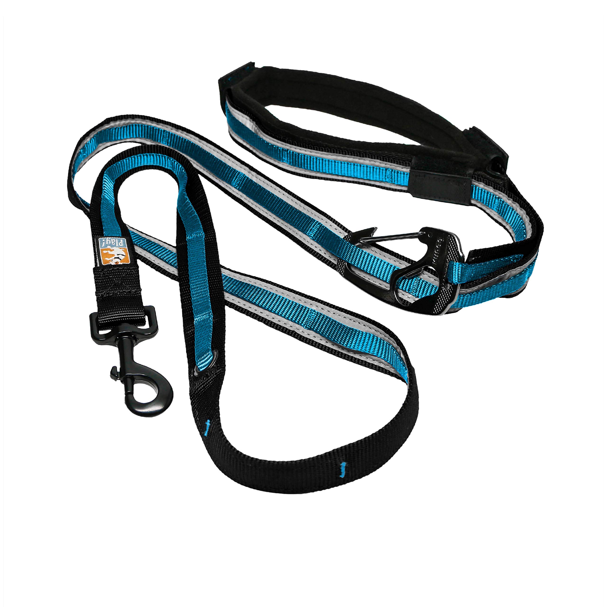 Kurgo 6-in-1 Quantum (TM) Hands Free Dog Leash for Walking, Running or Hiking & Reflective Dog Leash with Adjustable Waist Belt, Coastal Blue