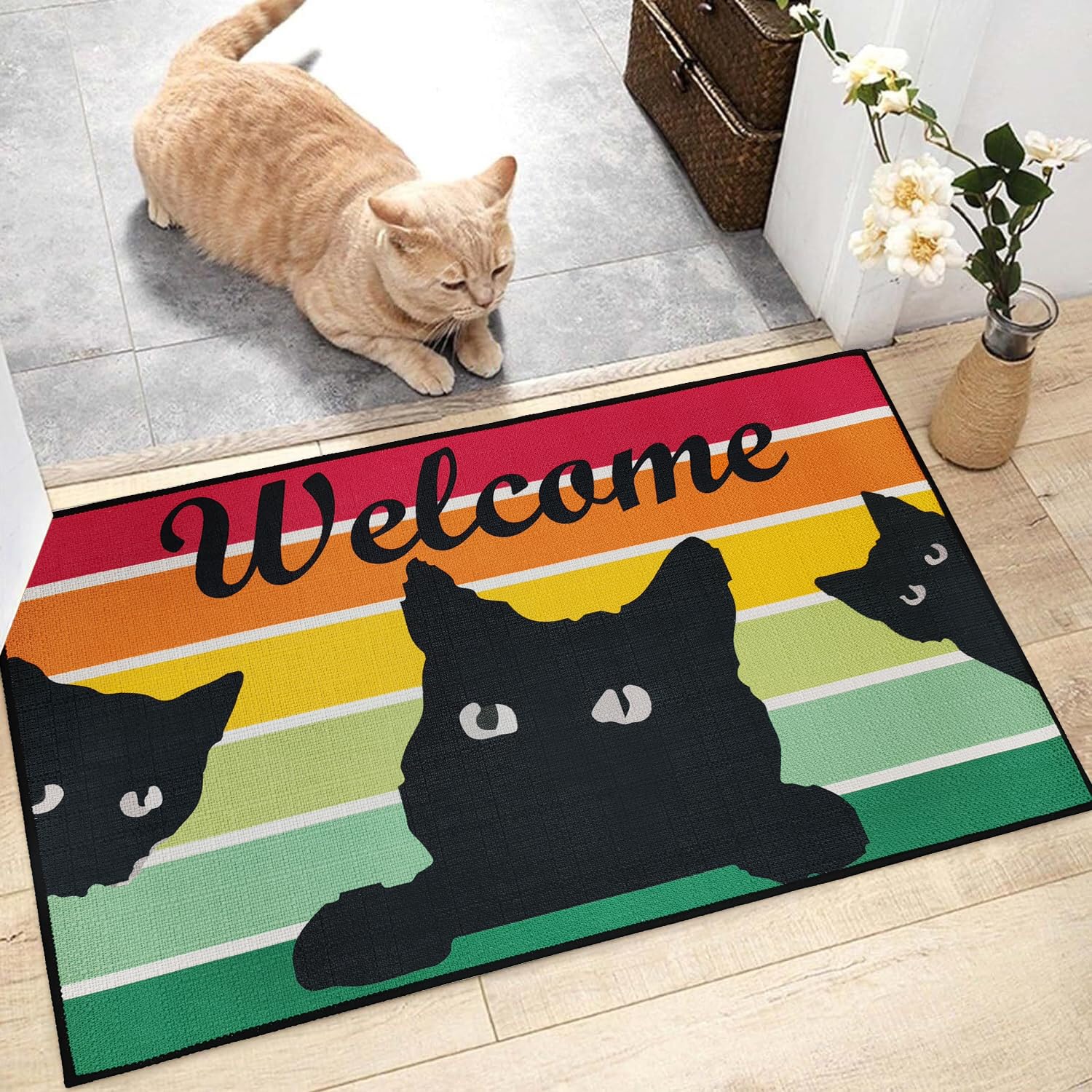 Brevoscht Black Cat Welcome Door Mat Non Slip, Rainbow Funny Indoor Outdoor Doormats for Entryway Home Decor 16 x 28 Inch