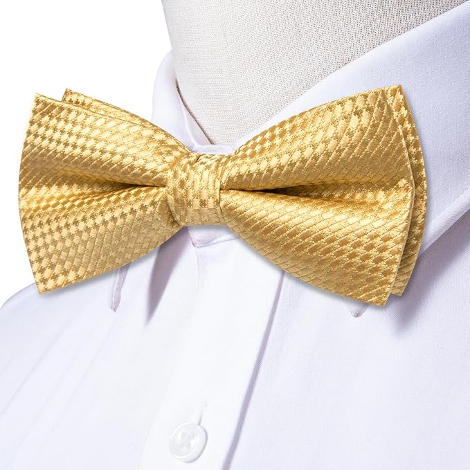 Conjunto de corbata preanudada y pañuelo para hombre miniatura 5