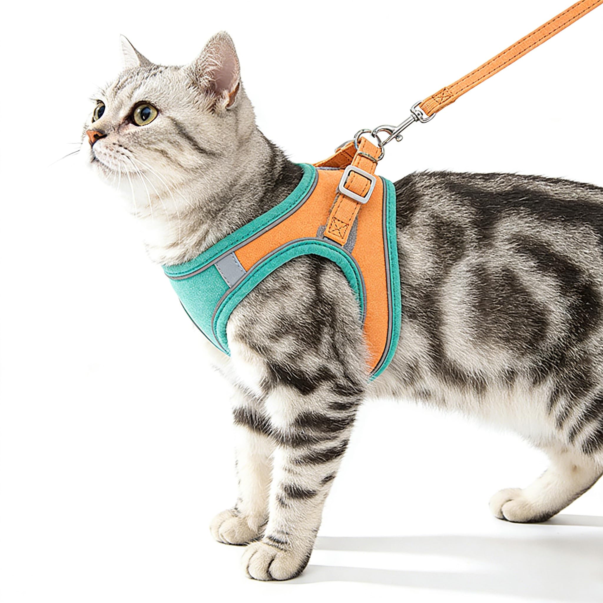 Cat Harness and Leash Set, Escape Proof Cat Harness, Comfortable Breathable Adjustable Vest, for Small Cat & Puppy (Green_S)
