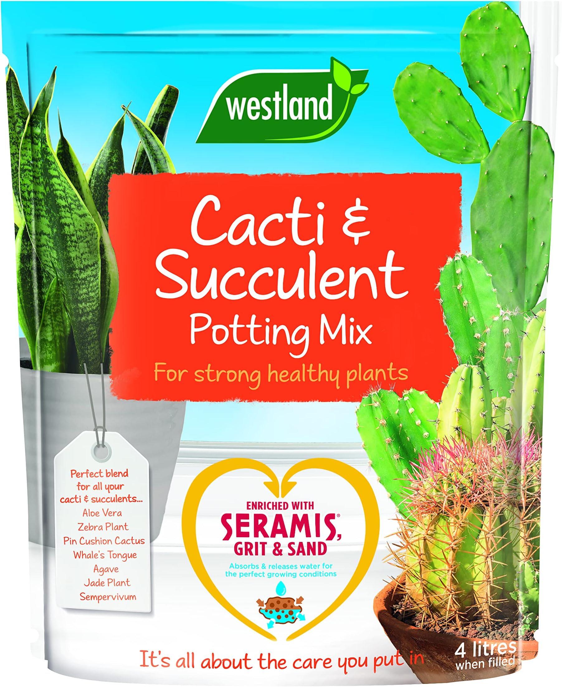 Cacti/Succulent Potting Compost Mix and Enriched with Seramis, 4 L Brown 60x3x29 cm