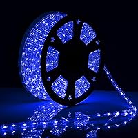 100FT Blue LED Rope Lights Outdoor Waterproof IP65 110V - Flexible String Lights for Gardens, Backyards, Christmas, Eaves by Tuanchuanrp