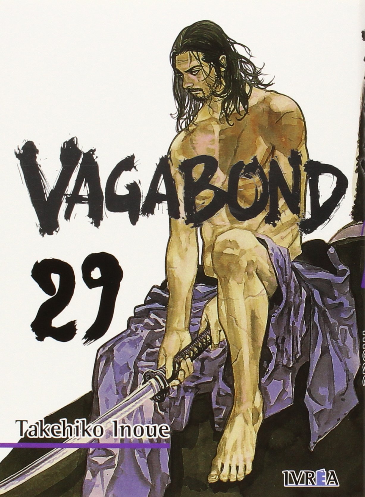 Vagabond 29