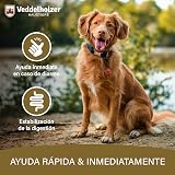 Ver la foto 2