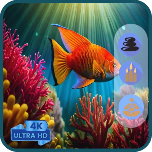 Écran de veille TV Aquarium virtuel 4K - Poissons tropicaux