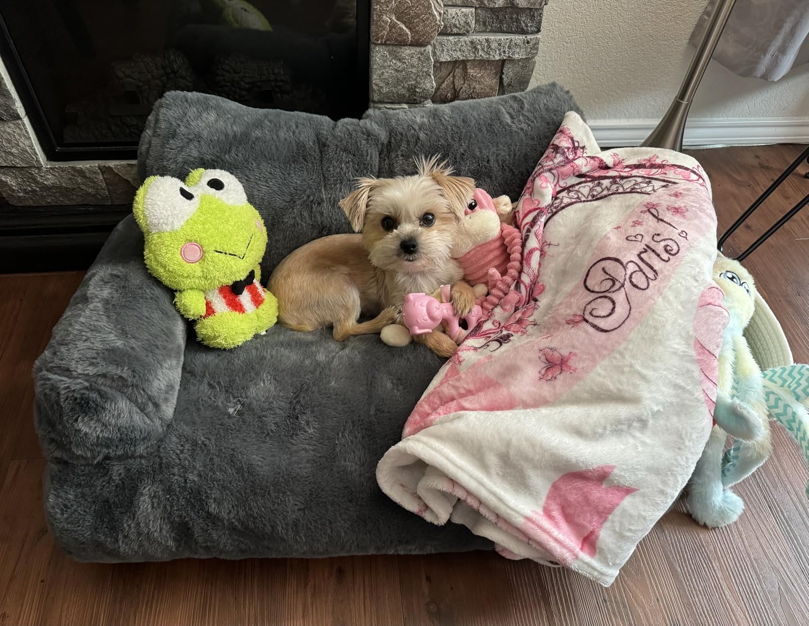 MEWOOFUN Cat Bed for Indoor Cats, Washable Dog Beds for Small Dogs & Cats with Removable Cover, Fluffy Cat Couch with Non-Slip Bottom (Grey, 26.0" L X 19.0" W X 13.0" Th) photo review