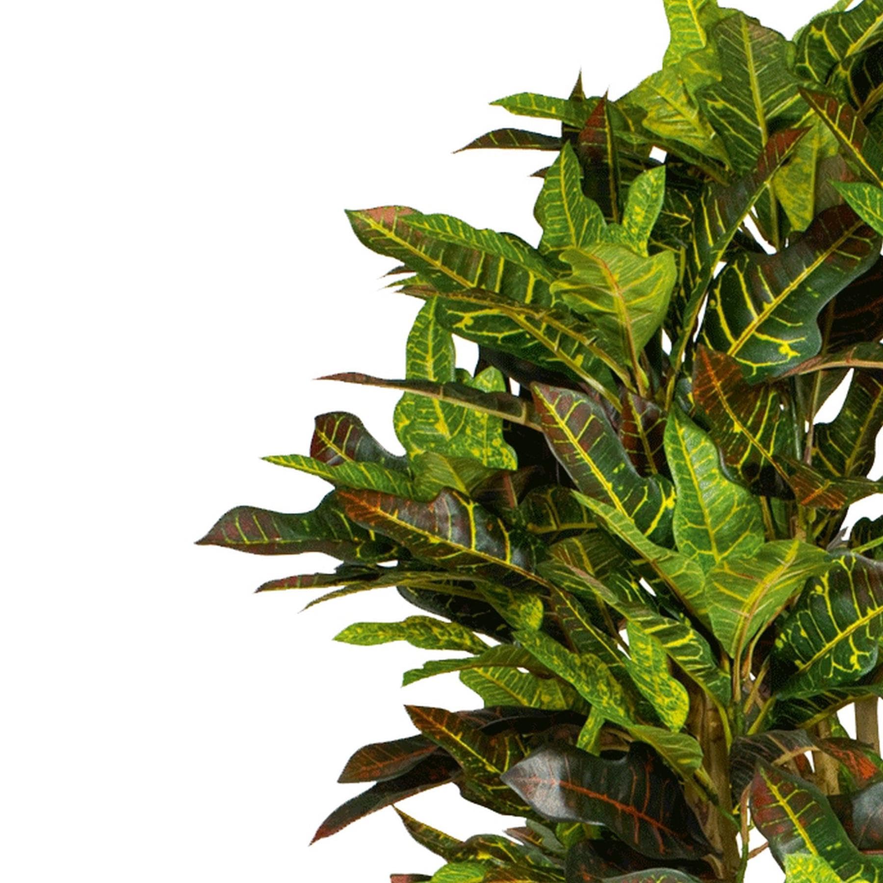 XL Luxury Artificial Trees by Leaf UK, 150cm Croton Tree, 150 cm - Image 2