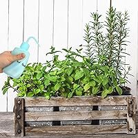 Vista 9 de VILLCASE 6 botellas de lavado con boquilla curvada para tatuajes de plástico y botellas de riego de plantas, fácil control para aplicaciones