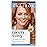Clairol Nice\'n Easy Permanent Hair Dye, 8SC Medium Copper Blonde Hair Color, Pack of 1