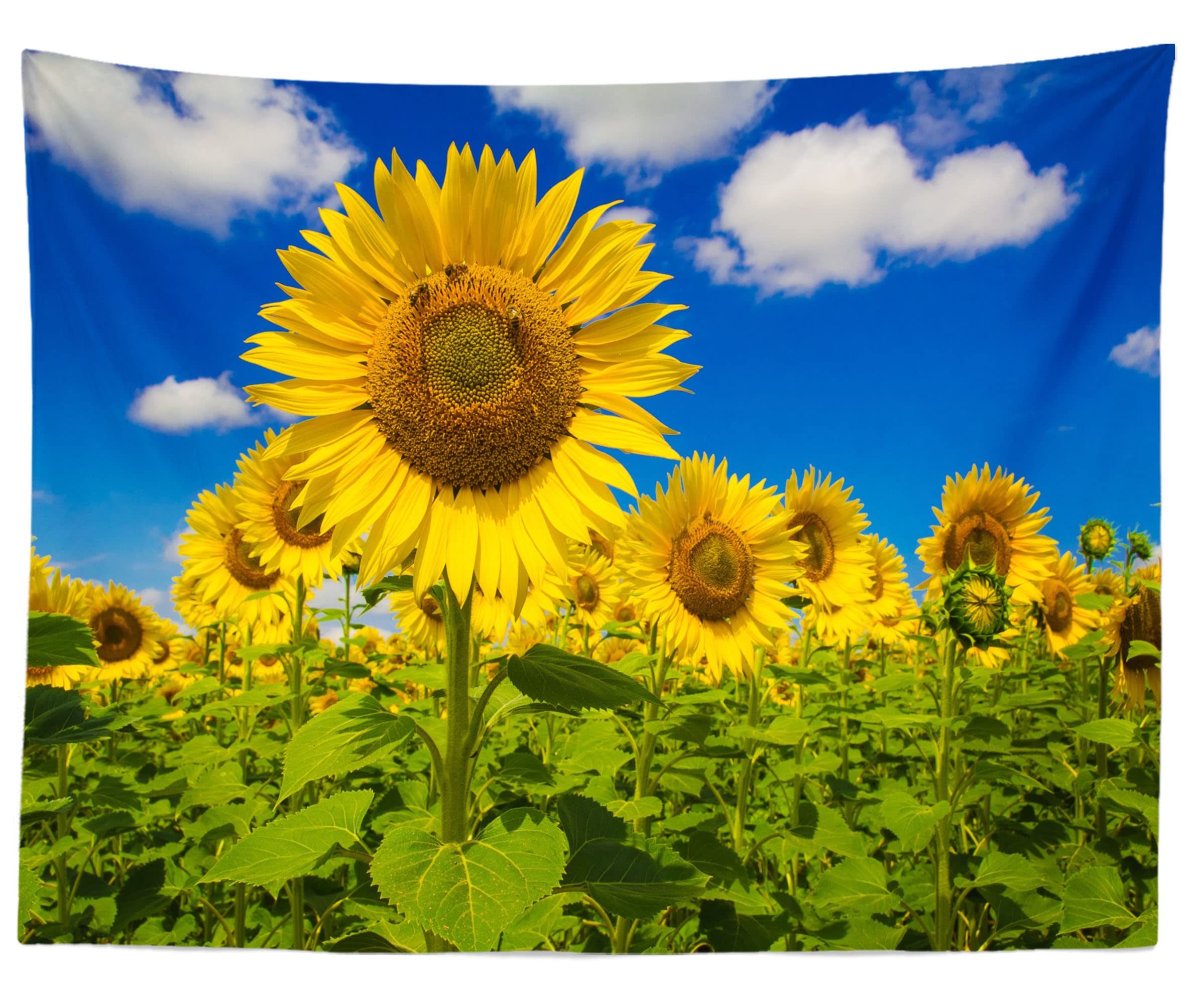 BELECO 15x8ft Fabric Sunflower Field Photography Backdrop Outdoor
