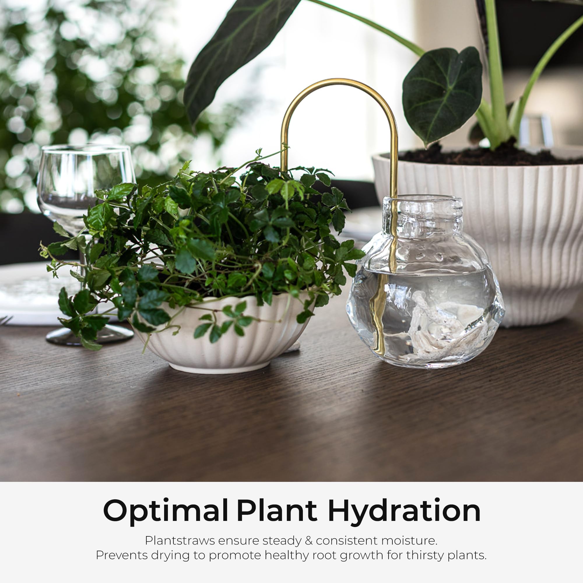 Amazon.com : Plantstraws Beautiful Self-Watering Wick System for Effortless  Plant Care, Automatic Drip Irrigation, Sustainable & Stylish Scandinavian  Design, Ideal for House Plants (S, Brass Patina) : Patio, Lawn & Garden