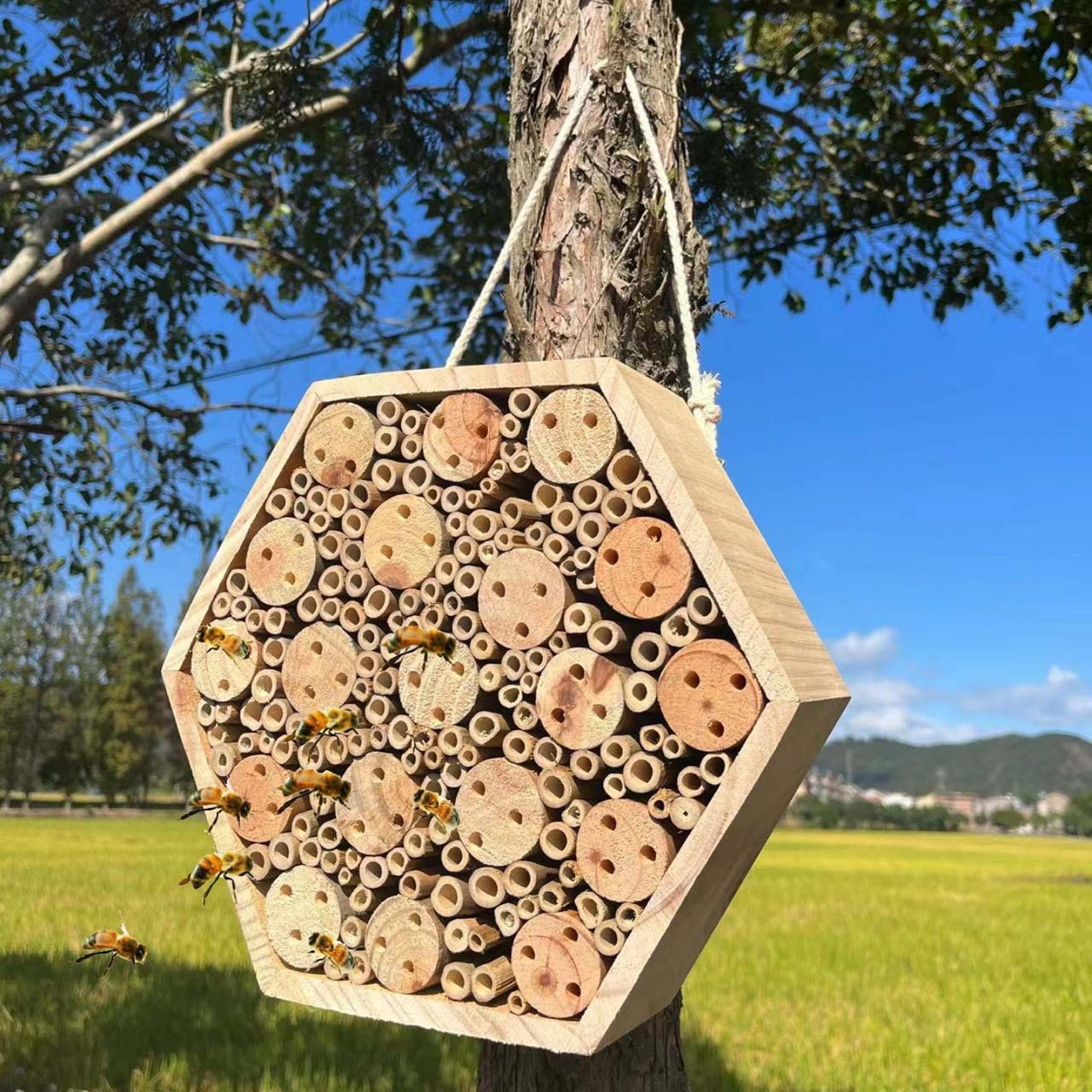 Sechseckiges Bienenhaus aus Holz – Naturhotel mit Hängeseil, Maurerbienenhaus für den Garten im Freien, um Bestäuber anzulocken