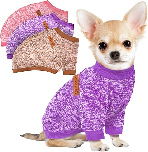 Dog Apparel & Accessories