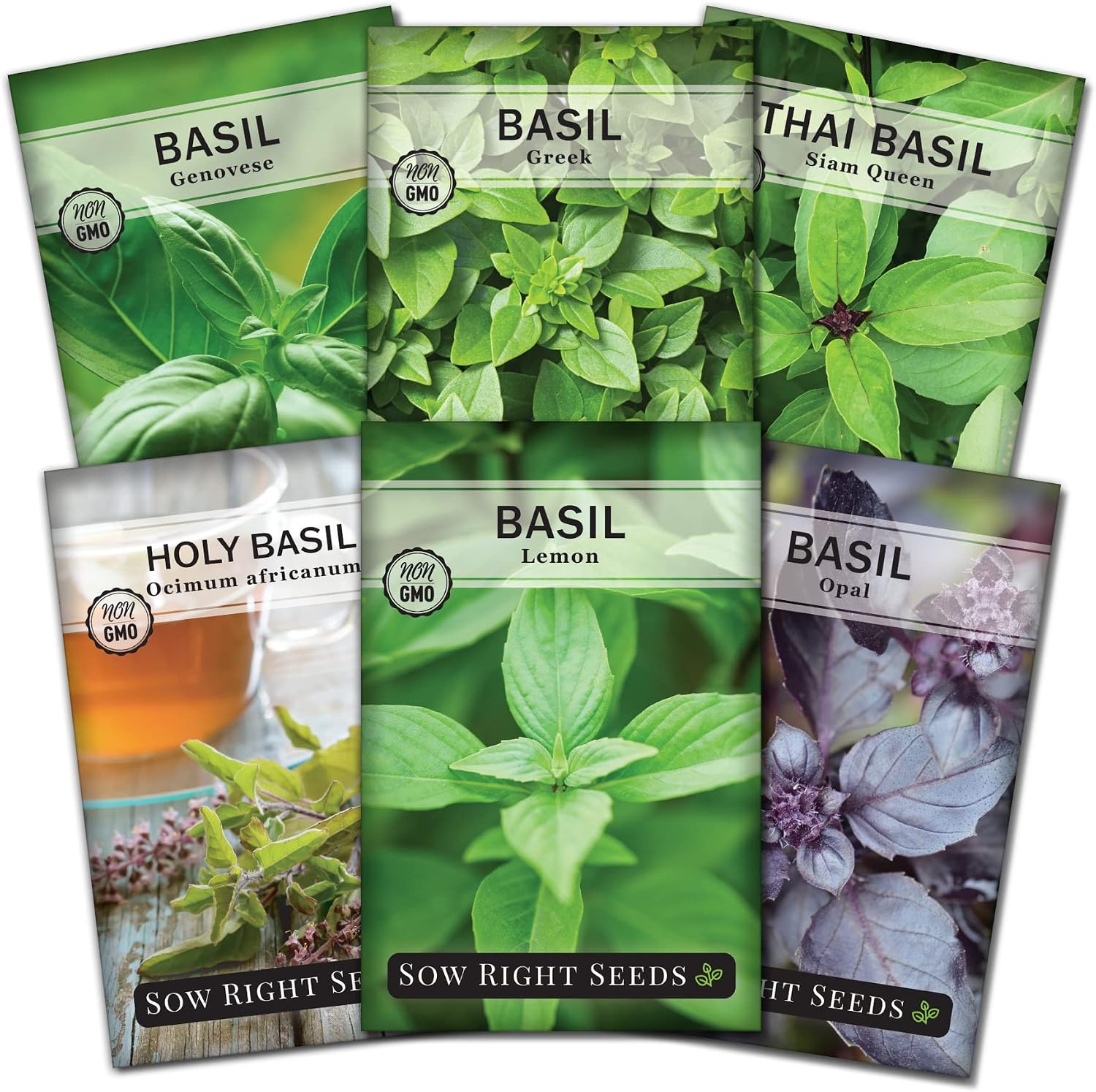 Sow Right Seeds - Basil Seed Collection for Planting - Genovese Sweet, Greek, Opal, Thai, Holy and Lemon Basil - Non-GMO Heirloom Seeds - Instructions to Plant an Herb Garden Indoors or Outdoors
