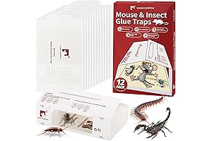 Sticky Insect Glue Traps: Protect Your Outdoors From Pesky Pests