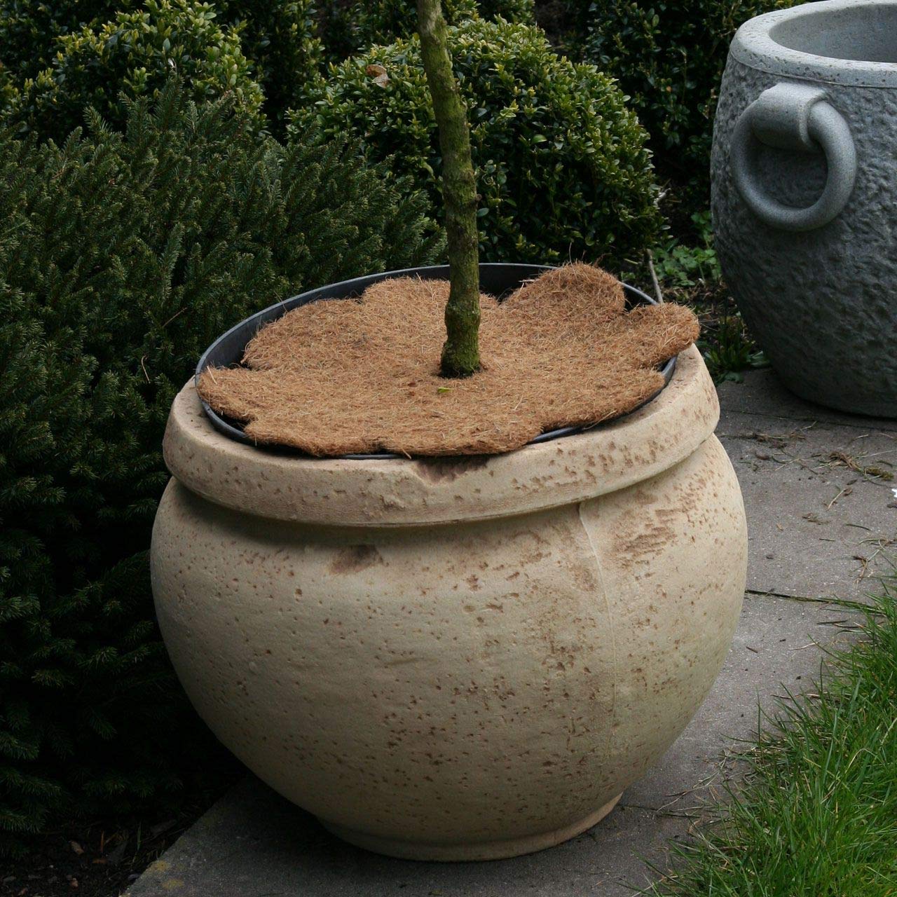 Kokos-Abdeckscheibe Stern, 35 Cm – Winterschutz Für Kübelpflanzen, Frostsicher, Mit 2 Jutesäckchen