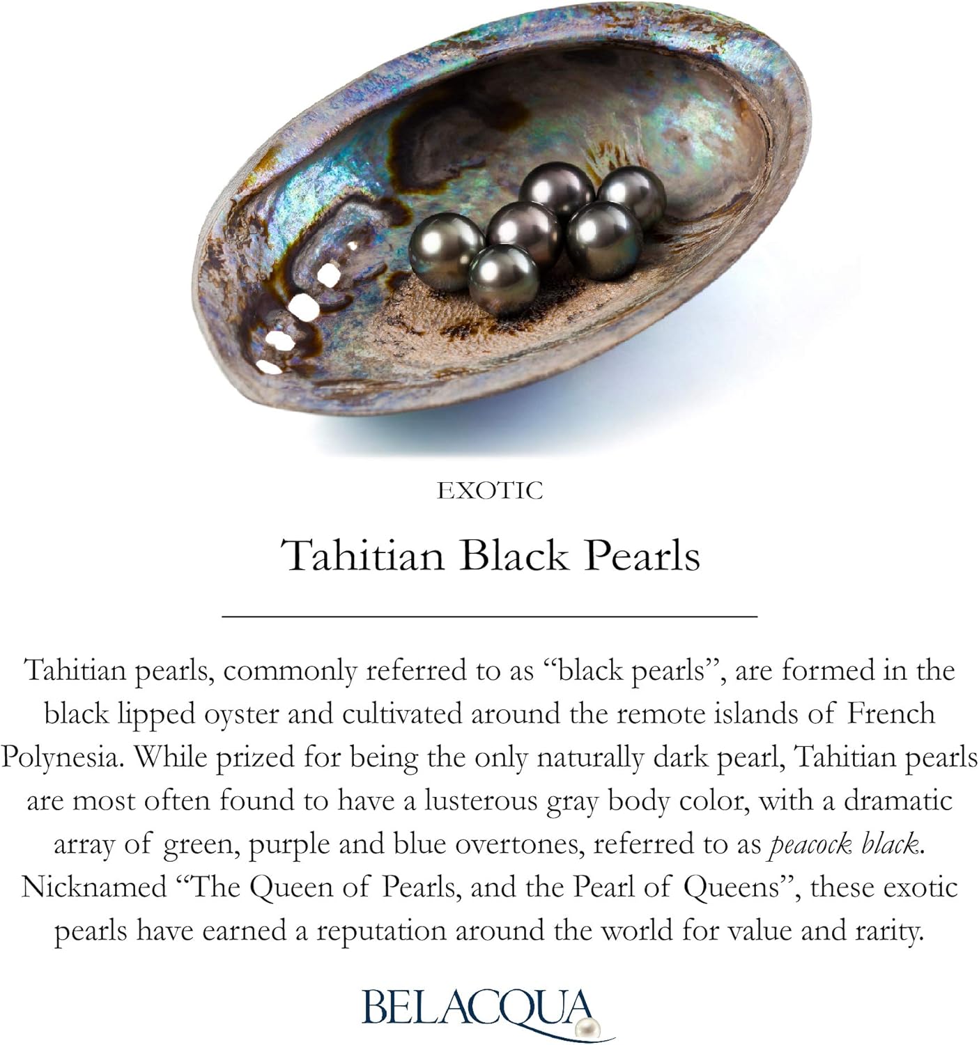 Belacqua Tahitian Black Pearl Necklace Pendant Stud Earring Set for Women