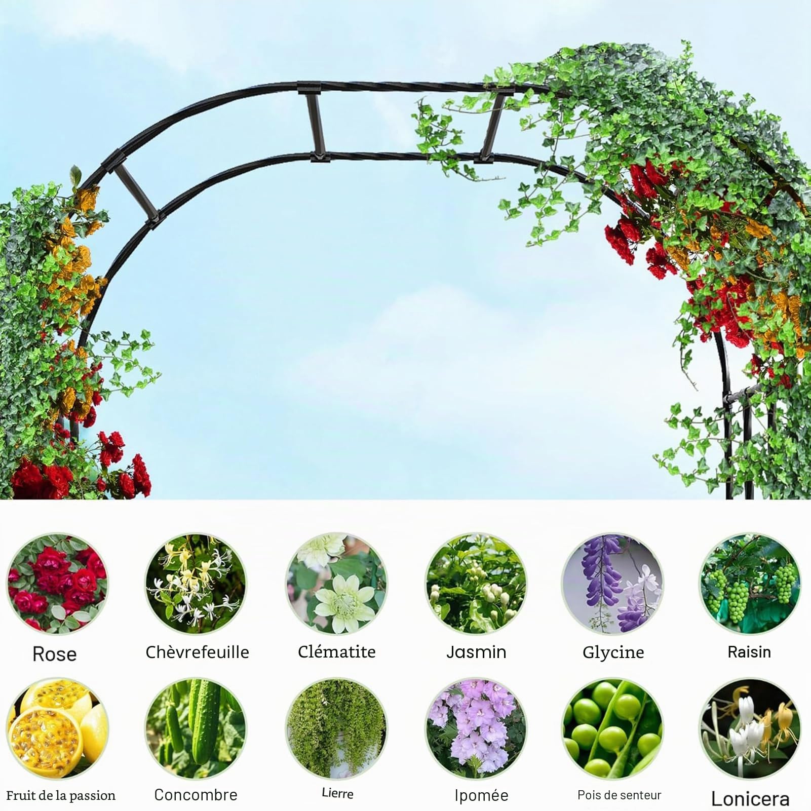 Arche de Jardin en MéTal, Arche à Roses, Acier Galvanisé 20 Mm, Antirouille, Pergola Jardin Exterieur DéCoration, Convient Aux Plantes Grimpantes, Aux Arches de Mariage (Noir)