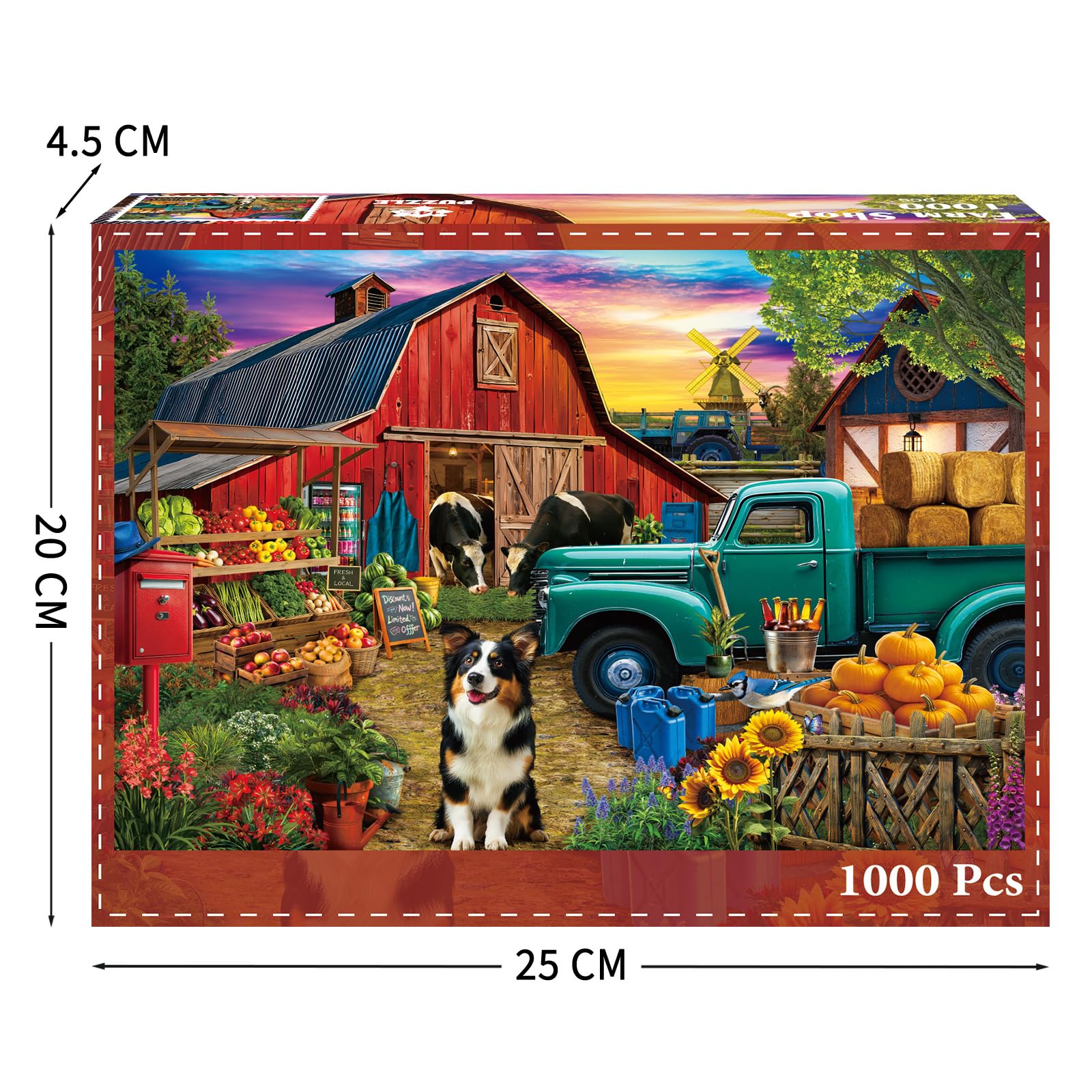 View 3