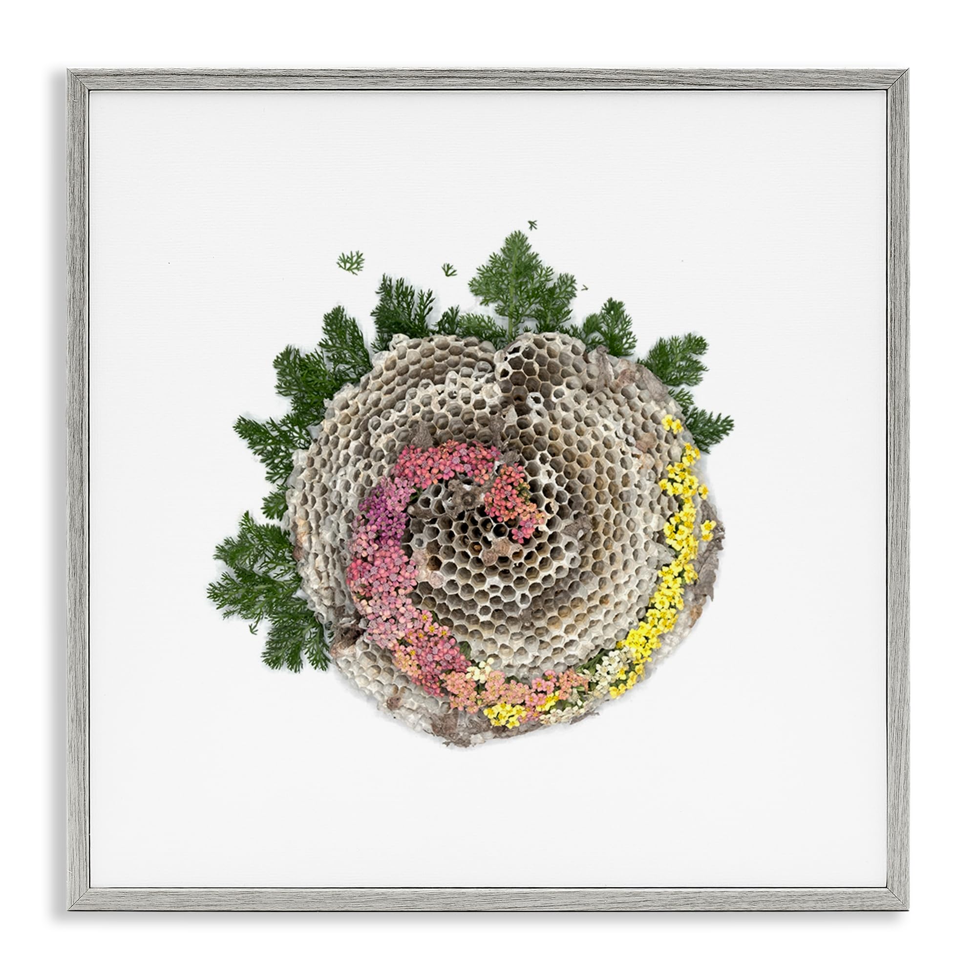 'Honeycomb with Botanicals'| Framed Giclee Art