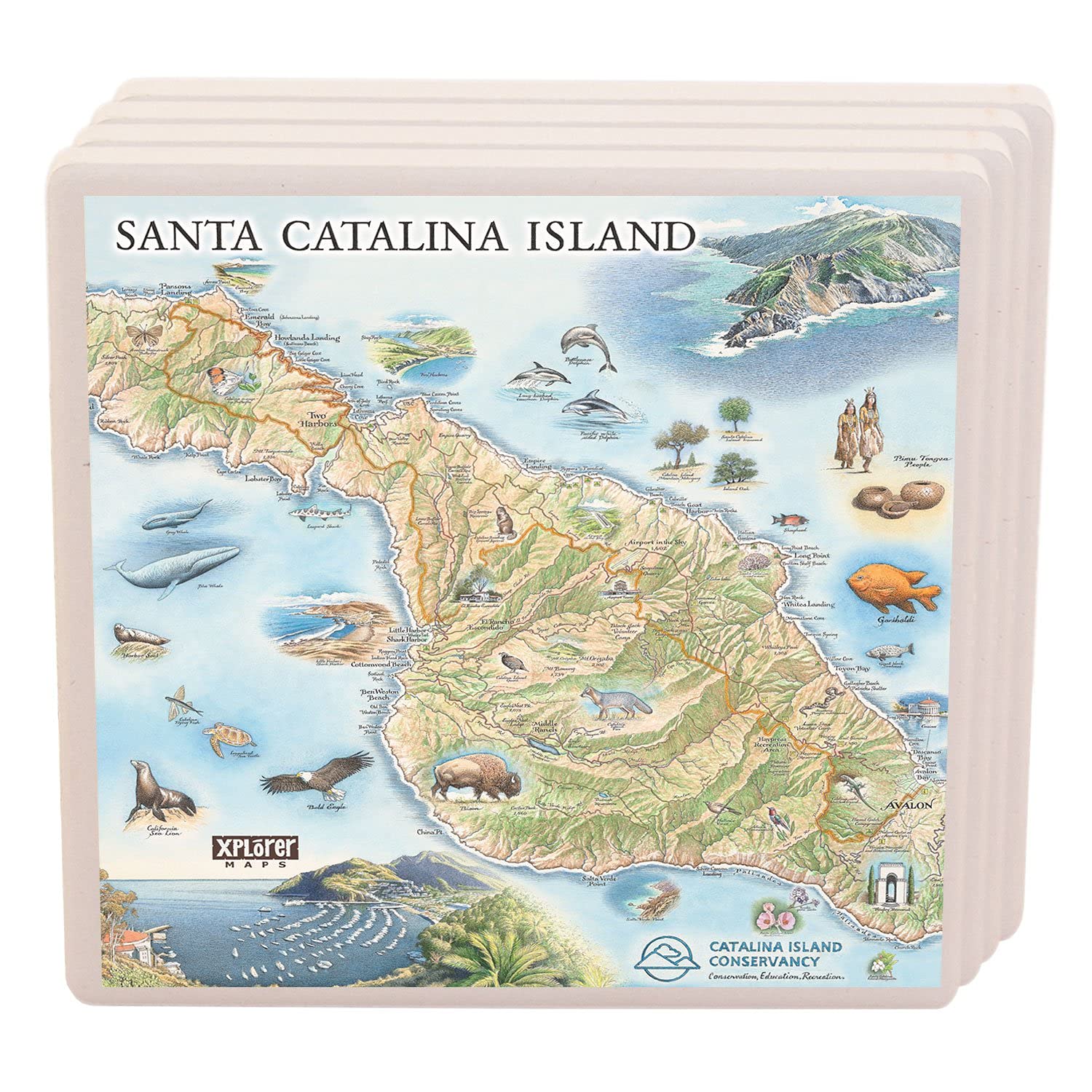 Catalina Island Ceramic Coaster Set of 4