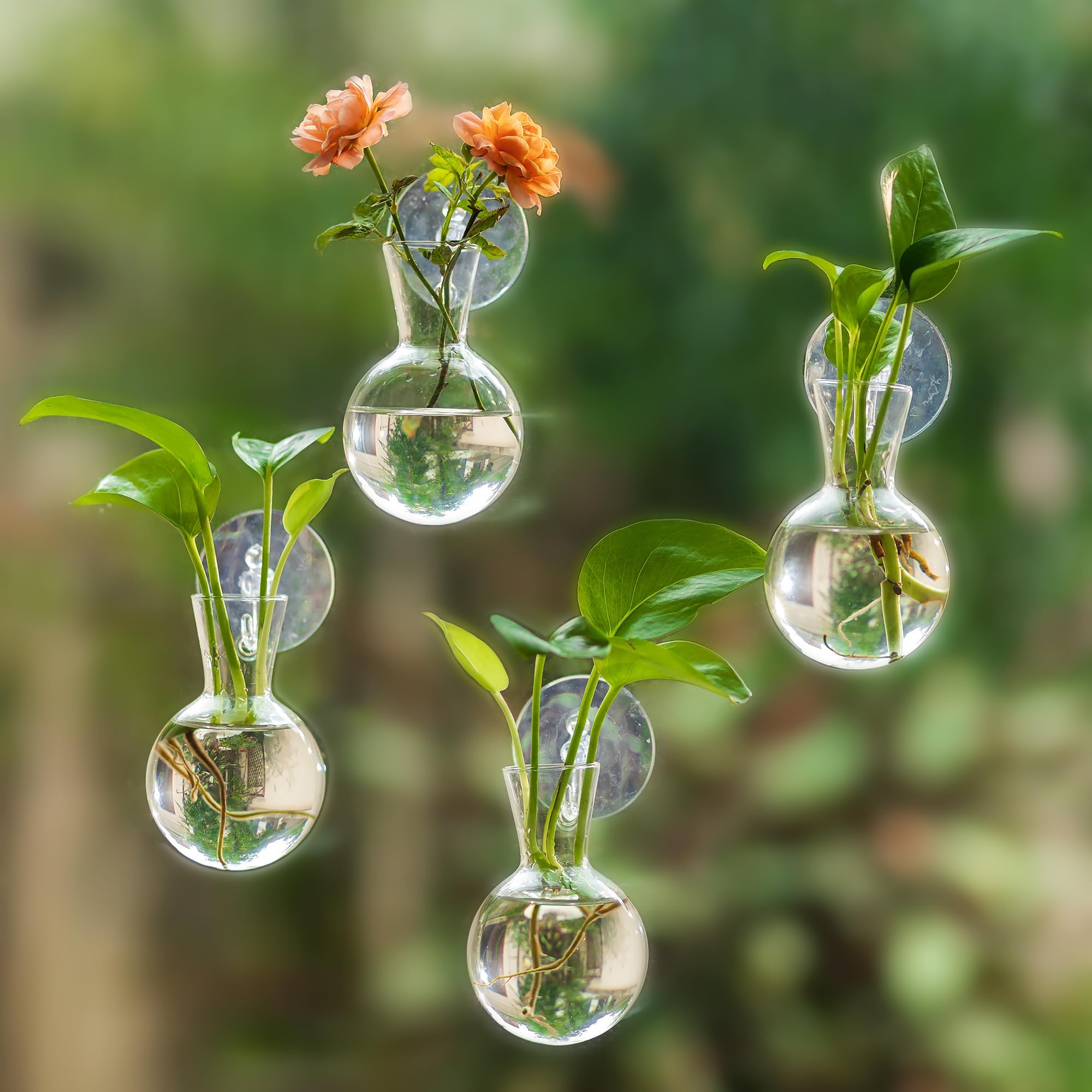 Glasseam Plant Propagation Station for Window: 4 Pcs Small Bulb Bud Vases with Suction Cups for Home Living Room Kitchen Office Decor - Hanging Glass Planter Terrarium for Hydroponic Herb Cutting