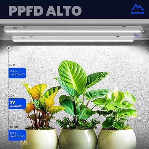 Miniatura 3 de Barrina Luces de Crecimiento T5, Luz de Crecimiento LED de Espectro Completo Blanca de 5000K, 80W de 2 pies (8 x 10W) Luces de Crecimiento