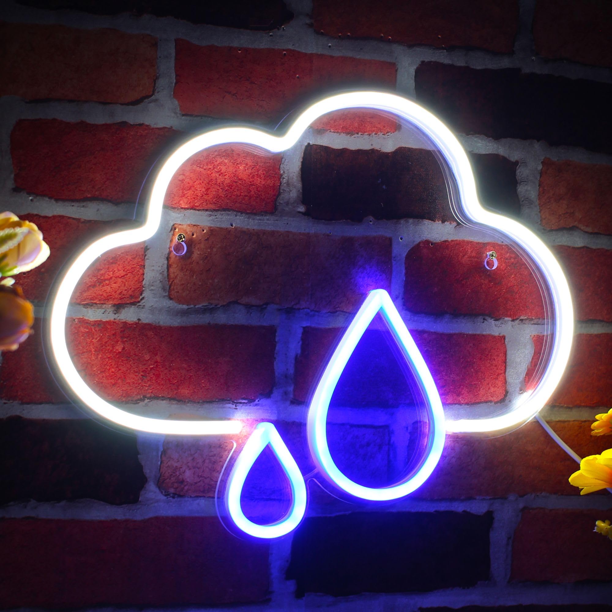 Amazon.co.jp: ADVPRO 雲と雨滴 フレックス シリコン LED ネオンサイン