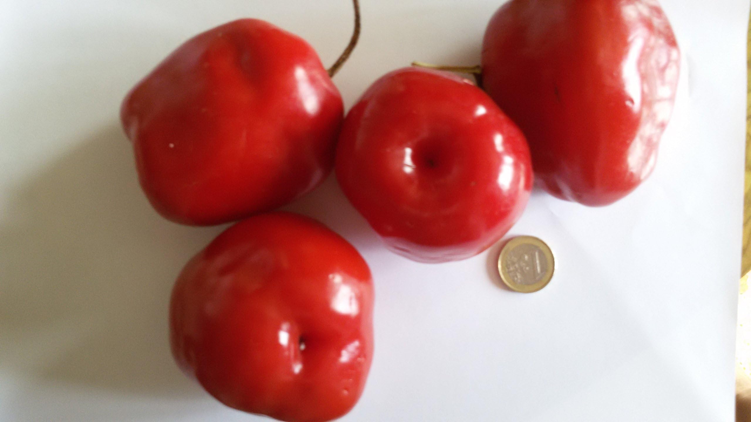 Seeds Chilli-ROCOTO Manzano RED + AJI Amarillo