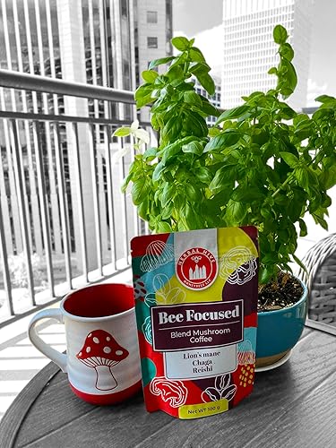 Miniatura 9 de Café de hongos de Herbal Hive Bee Focused incluye adaptógenos Reishi, melena de león y superalimento Chaga de bajo ácido instantáneo 30 porciones