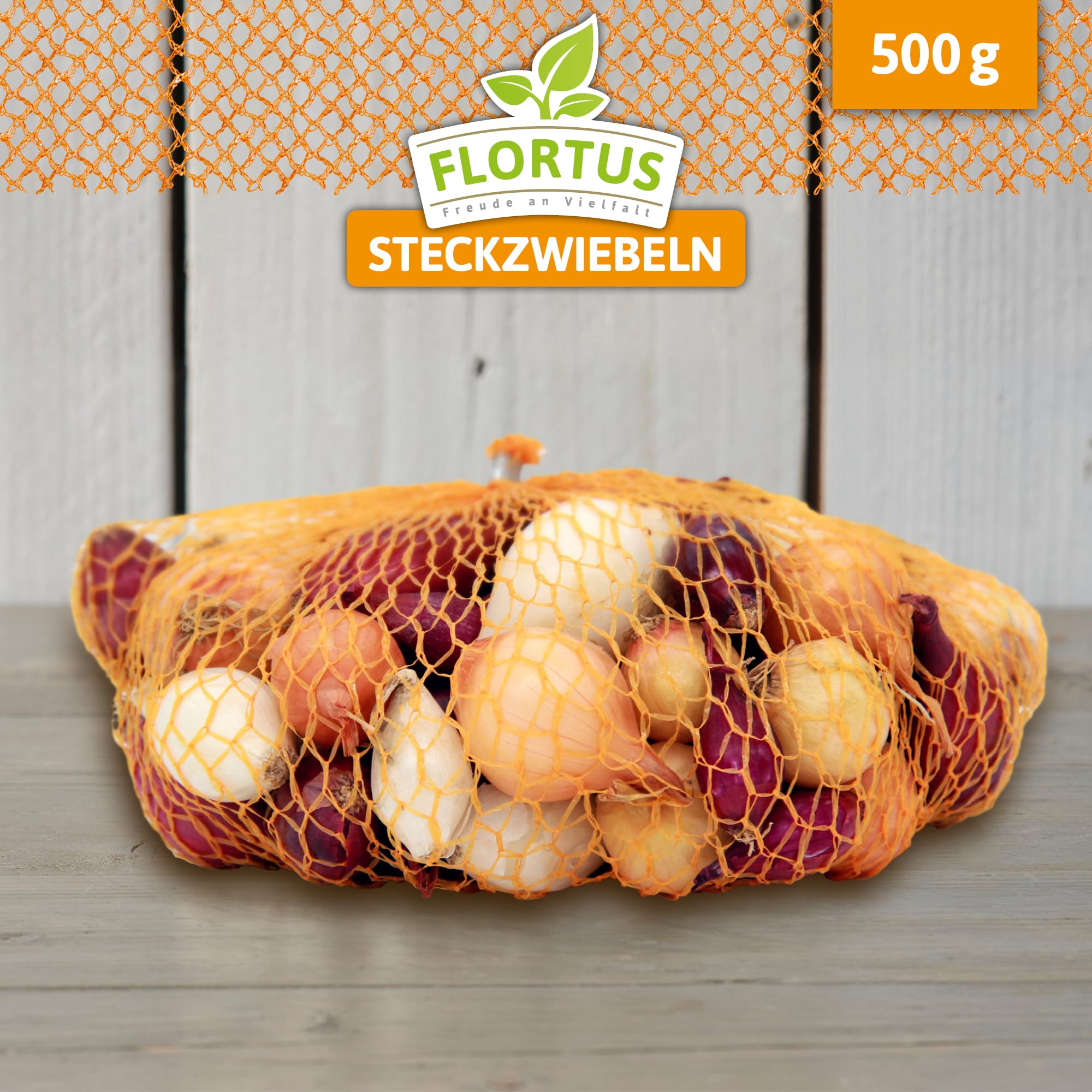 FLORTUS Winterknoblauch Germidour - 500g Steckzwiebeln Für Garten & Balkon