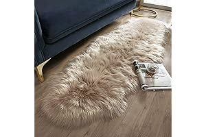 Ashler Ultra Soft Fluffy Shaggy Area Rug