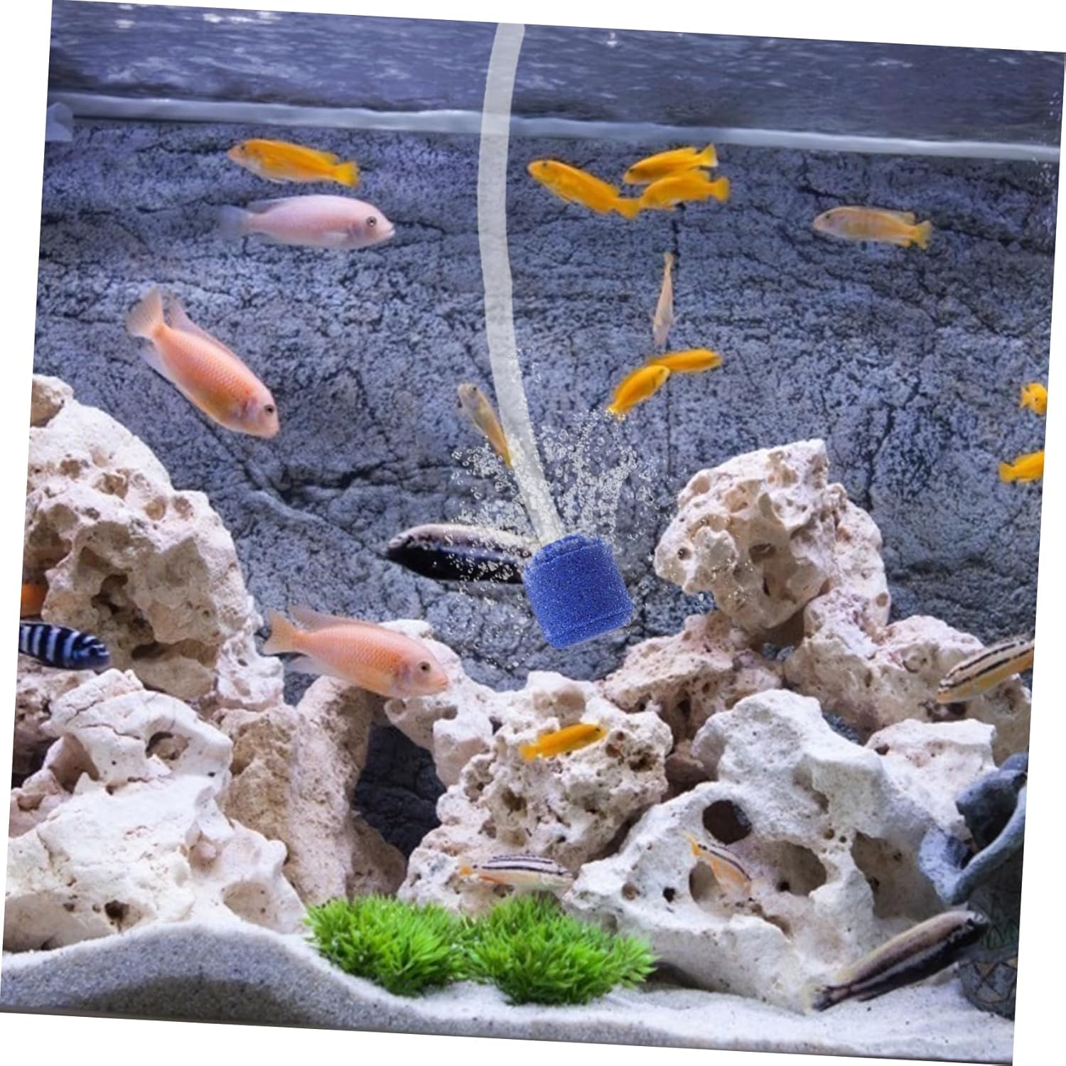 Sosoport Oxygen Pump Accessories Paddle Cordless Inflatables Fish Air Pump High Volume Pump Aerator Pump Sup